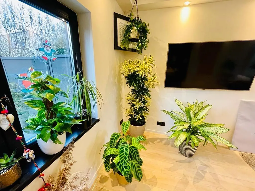Town House With Garden - 1 Room With Shared Bathroom Brussels