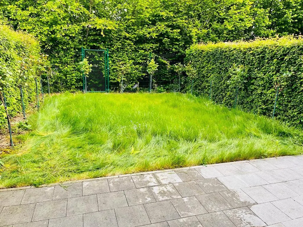 Homestay Town House With Garden - 1 Room With Shared Bathroom Brussels Belgium